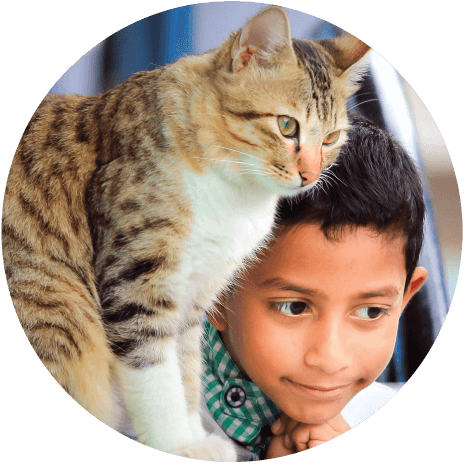 Allerpet for cats circle with child and pet cat